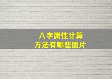 八字属性计算方法有哪些图片