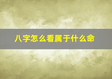 八字怎么看属于什么命