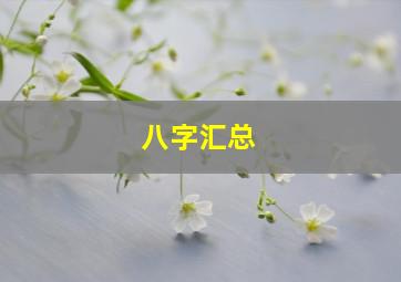 八字汇总