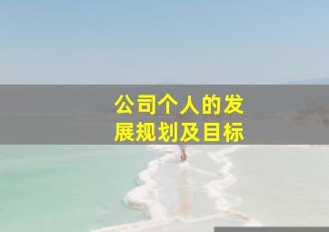 公司个人的发展规划及目标