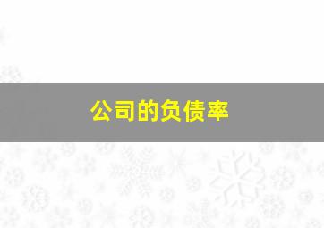 公司的负债率