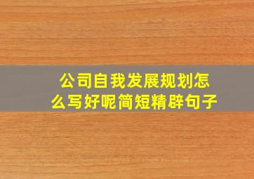 公司自我发展规划怎么写好呢简短精辟句子