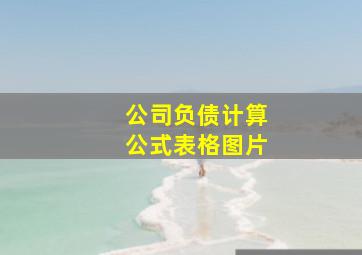 公司负债计算公式表格图片