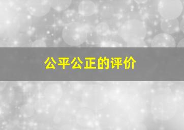 公平公正的评价