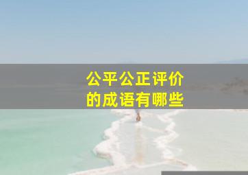 公平公正评价的成语有哪些