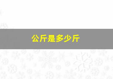 公斤是多少斤