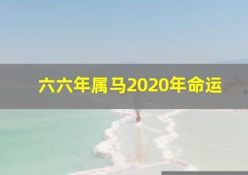 六六年属马2020年命运