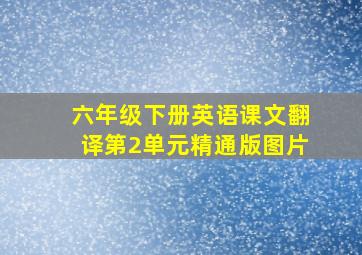 六年级下册英语课文翻译第2单元精通版图片