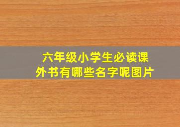 六年级小学生必读课外书有哪些名字呢图片