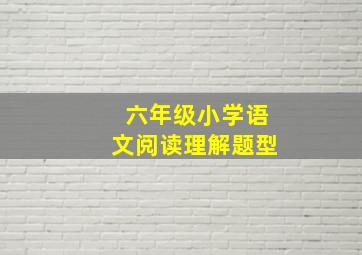 六年级小学语文阅读理解题型