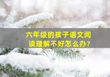 六年级的孩子语文阅读理解不好怎么办?