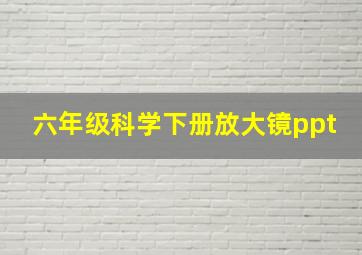 六年级科学下册放大镜ppt