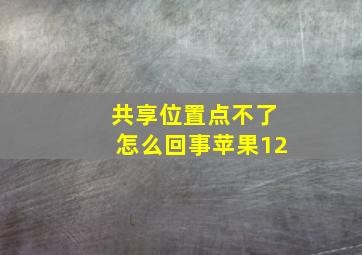 共享位置点不了怎么回事苹果12