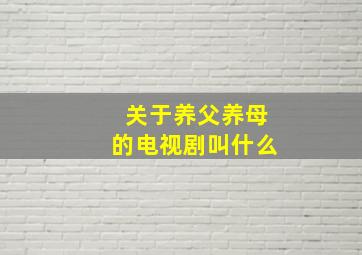 关于养父养母的电视剧叫什么