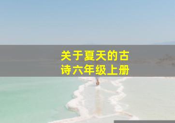 关于夏天的古诗六年级上册