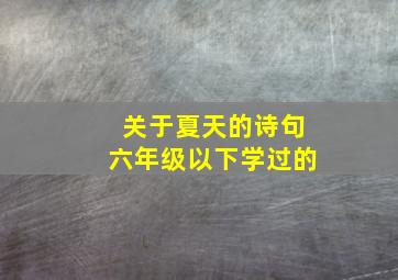 关于夏天的诗句六年级以下学过的