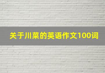 关于川菜的英语作文100词