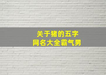 关于猪的五字网名大全霸气男