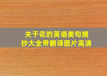 关于花的英语美句摘抄大全带翻译图片高清