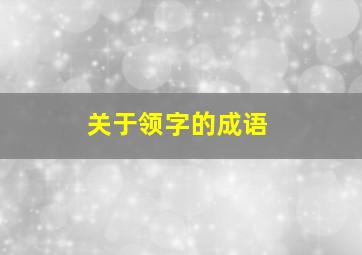 关于领字的成语