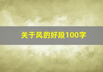 关于风的好段100字