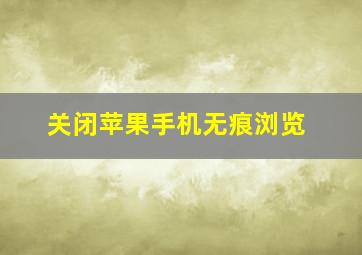 关闭苹果手机无痕浏览