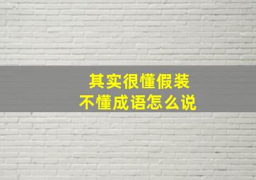 其实很懂假装不懂成语怎么说