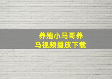 养殖小马哥养马视频播放下载