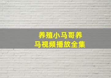 养殖小马哥养马视频播放全集