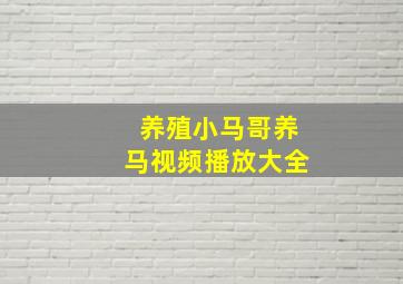 养殖小马哥养马视频播放大全