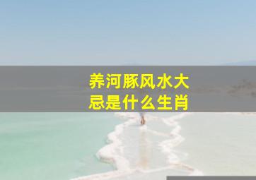 养河豚风水大忌是什么生肖