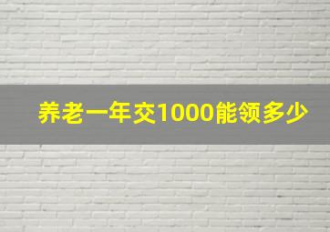 养老一年交1000能领多少