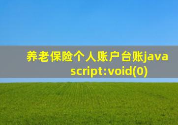 养老保险个人账户台账javascript:void(0)