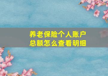 养老保险个人账户总额怎么查看明细