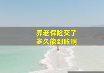 养老保险交了多久能到账啊