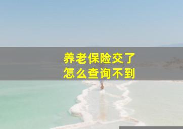 养老保险交了怎么查询不到