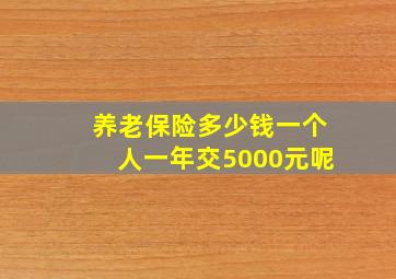 养老保险多少钱一个人一年交5000元呢