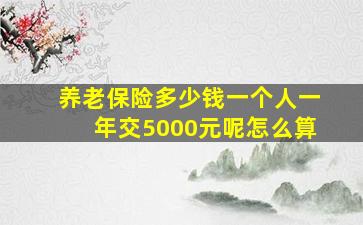 养老保险多少钱一个人一年交5000元呢怎么算