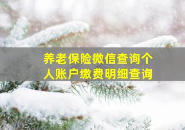 养老保险微信查询个人账户缴费明细查询