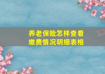 养老保险怎样查看缴费情况明细表格