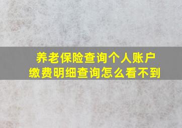 养老保险查询个人账户缴费明细查询怎么看不到