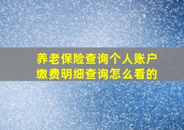 养老保险查询个人账户缴费明细查询怎么看的