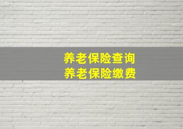 养老保险查询 养老保险缴费