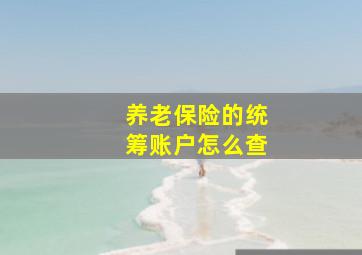 养老保险的统筹账户怎么查