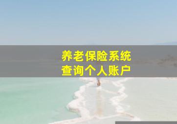 养老保险系统查询个人账户