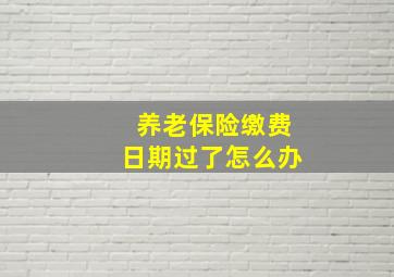 养老保险缴费日期过了怎么办