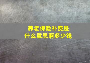 养老保险补费是什么意思啊多少钱