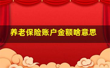 养老保险账户金额啥意思