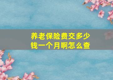 养老保险费交多少钱一个月啊怎么查