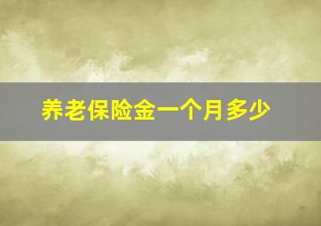 养老保险金一个月多少